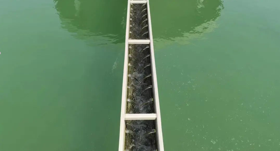 1675905535881928.png 35.png