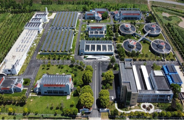 1735192170143690.jpg 1735182371293.jpg